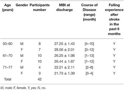 The Application of the Omaha System in Community Rehabilitation Nursing for Patients With Stroke and Previous Falls